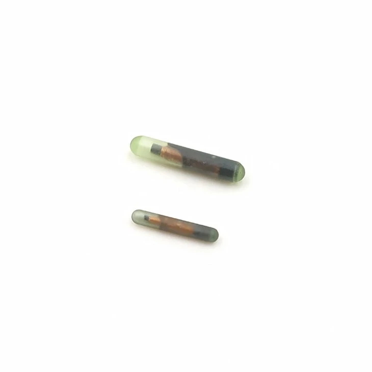 Étiquettes d'ampoules en verre RFID